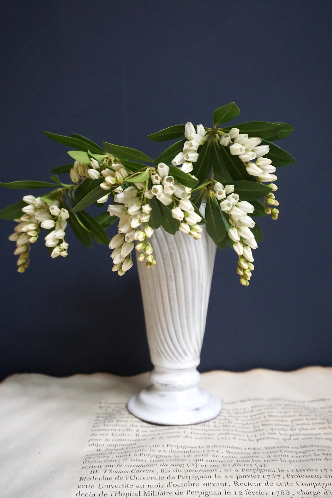 Astier de Villatte Small Peggy Vase