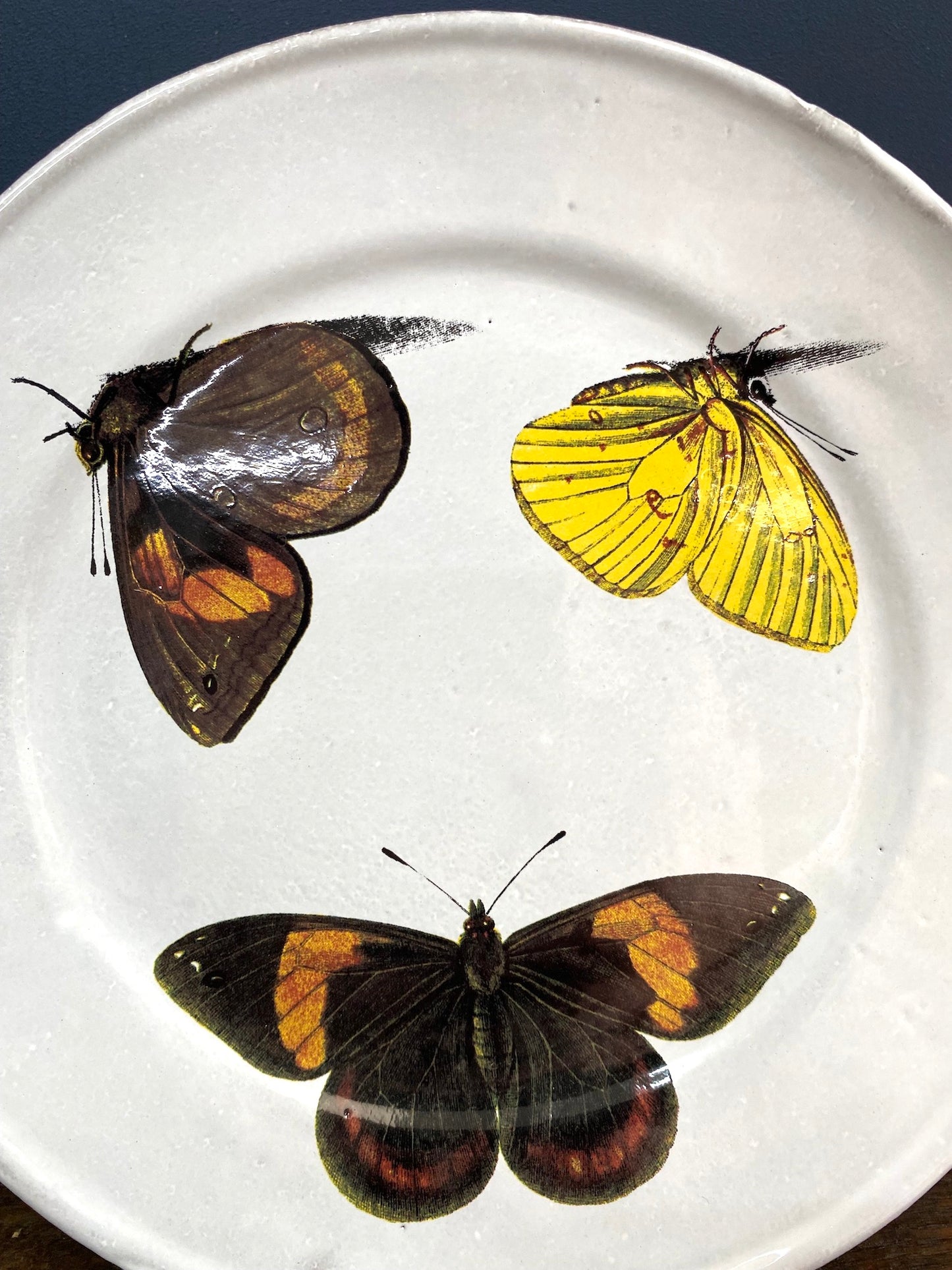 Astier de Villatte Three Butterflies Medium Plate