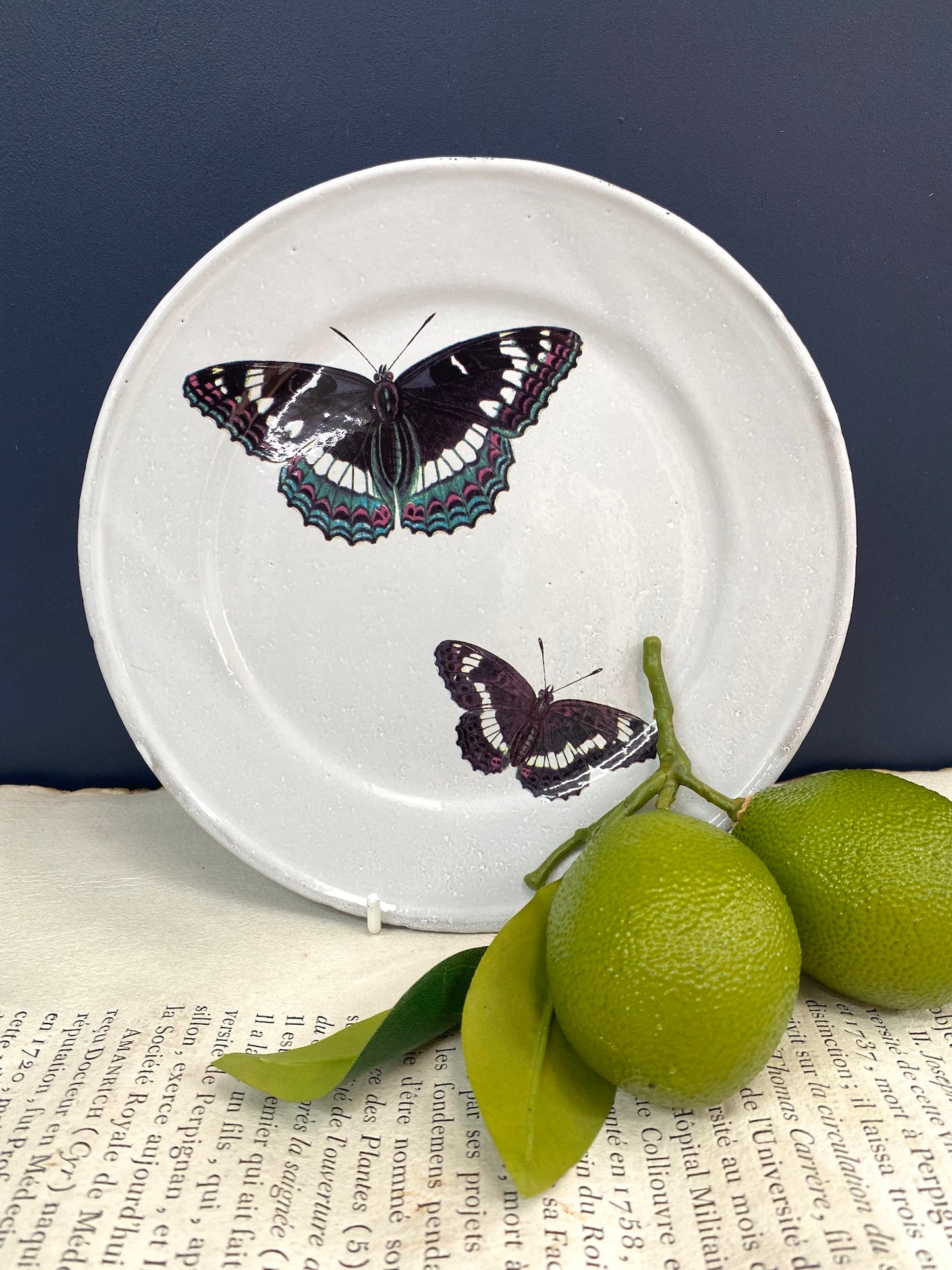 Astier de Villatte Two Flying Butterflies Medium Plate