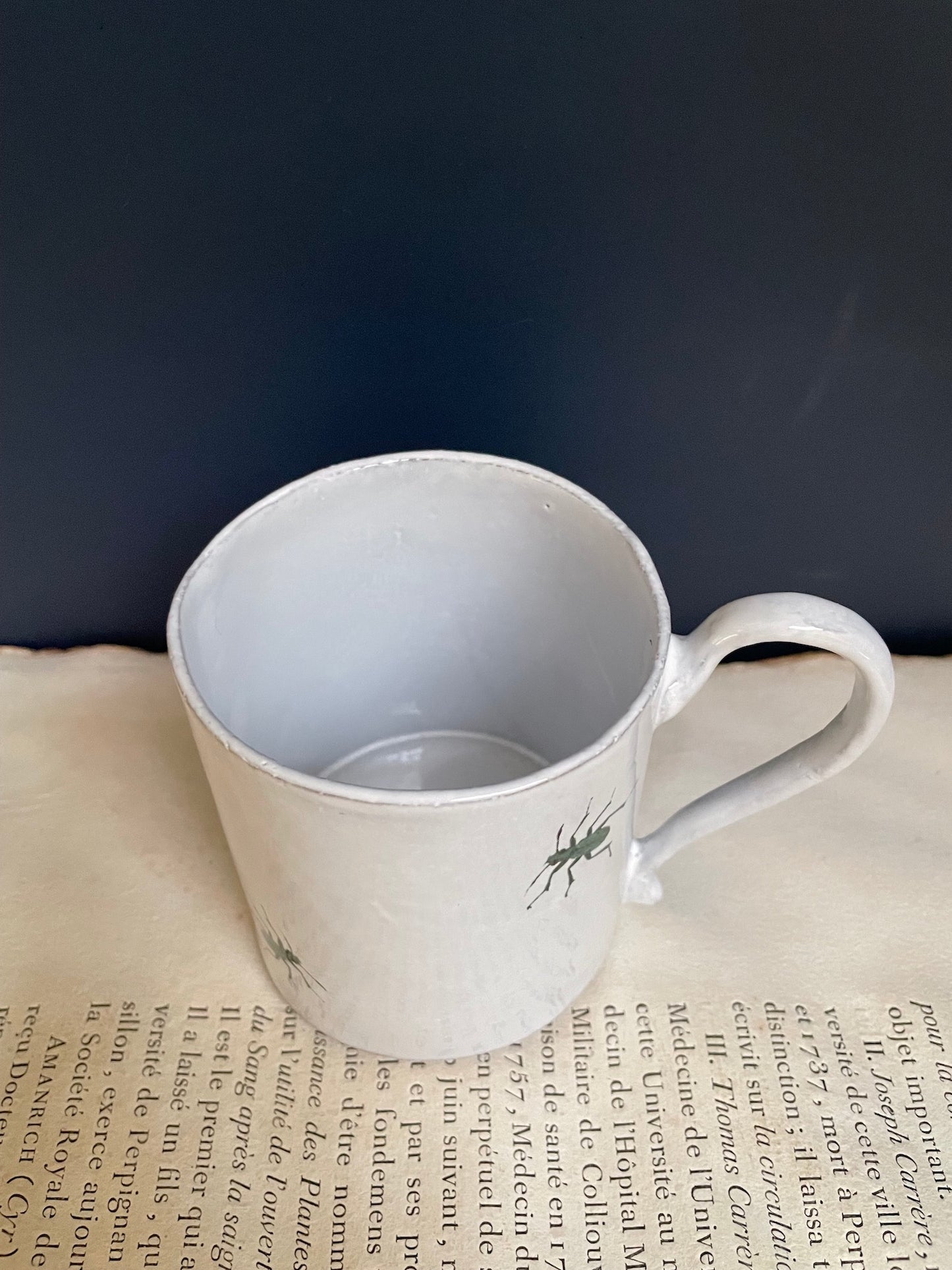 Astier de Villatte 'Two Beetle' John Derian Mug - RETIRED