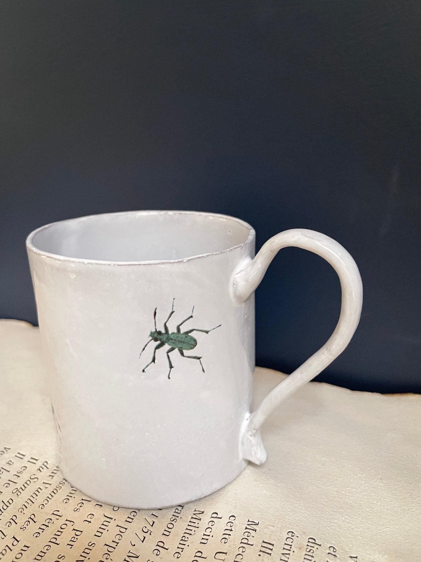 Astier de Villatte 'Two Beetle' John Derian Mug - RETIRED