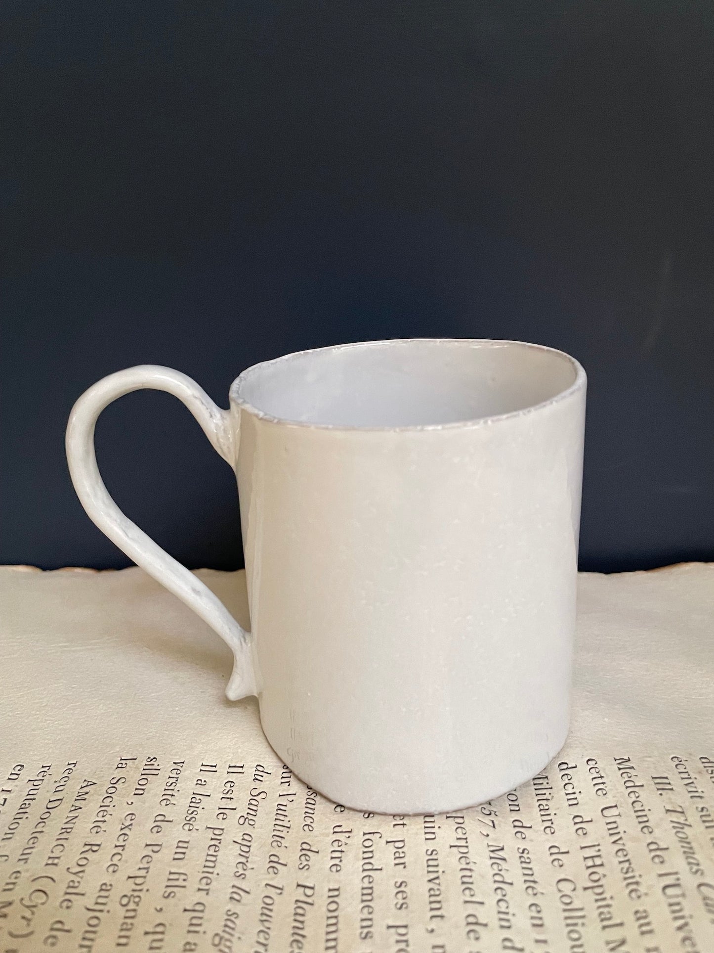 Astier de Villatte 'Two Beetle' John Derian Mug - RETIRED