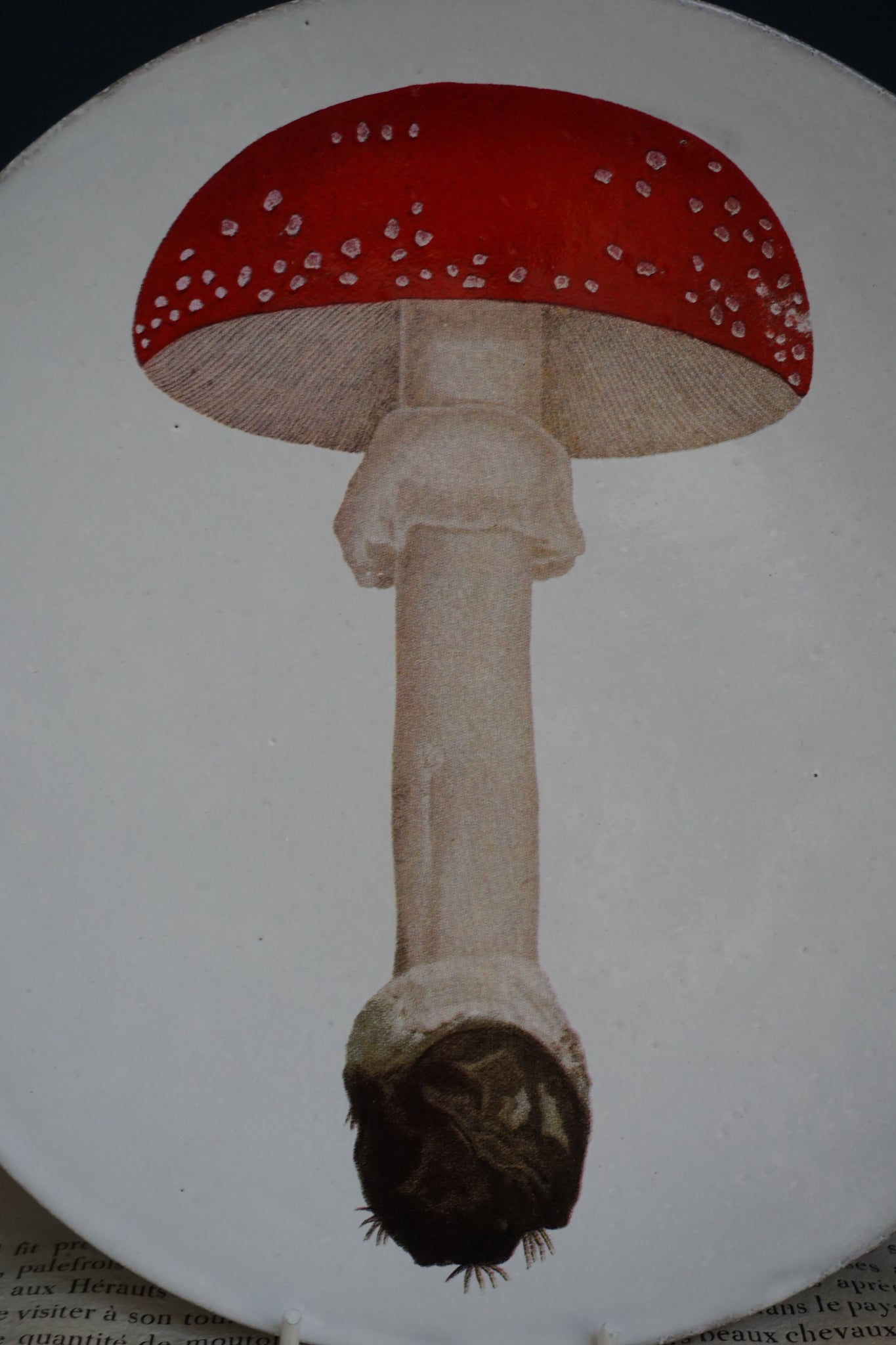 Astier de Villatte Agaric Fausse Oronge Umbrella Medium Plate