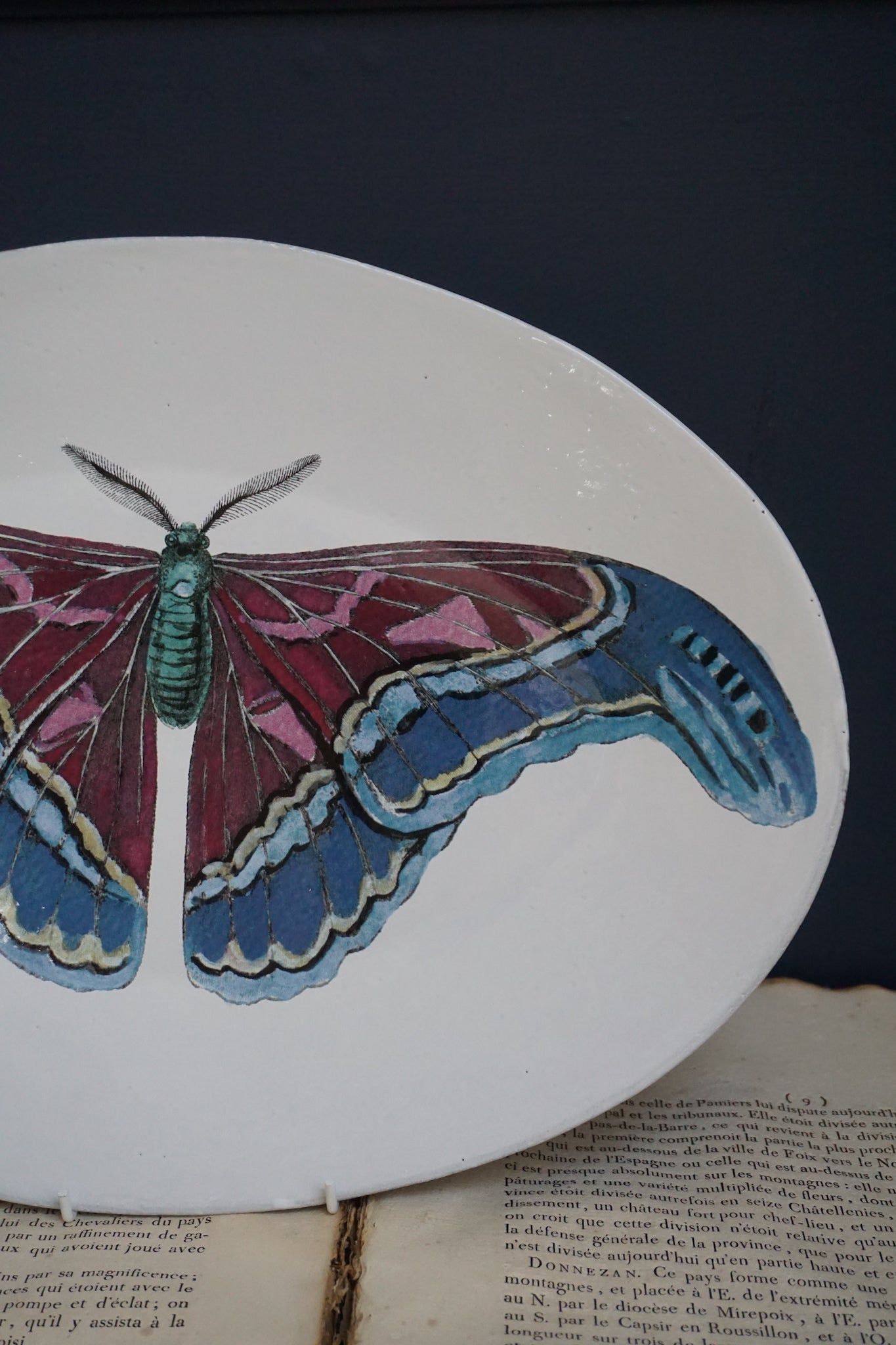 Astier de Villatte John Derian Oval Blue Butterfly Platter