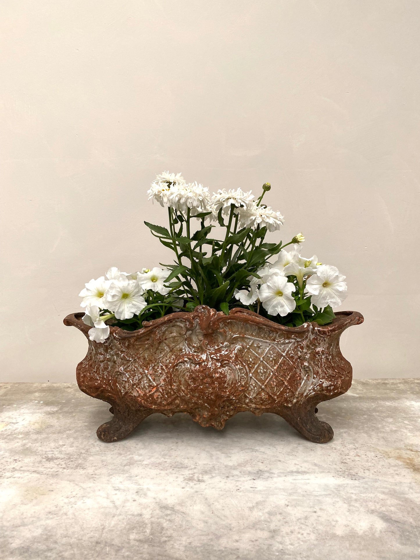 Antique French Medium Cast Iron Jardinere - Rusty Silver