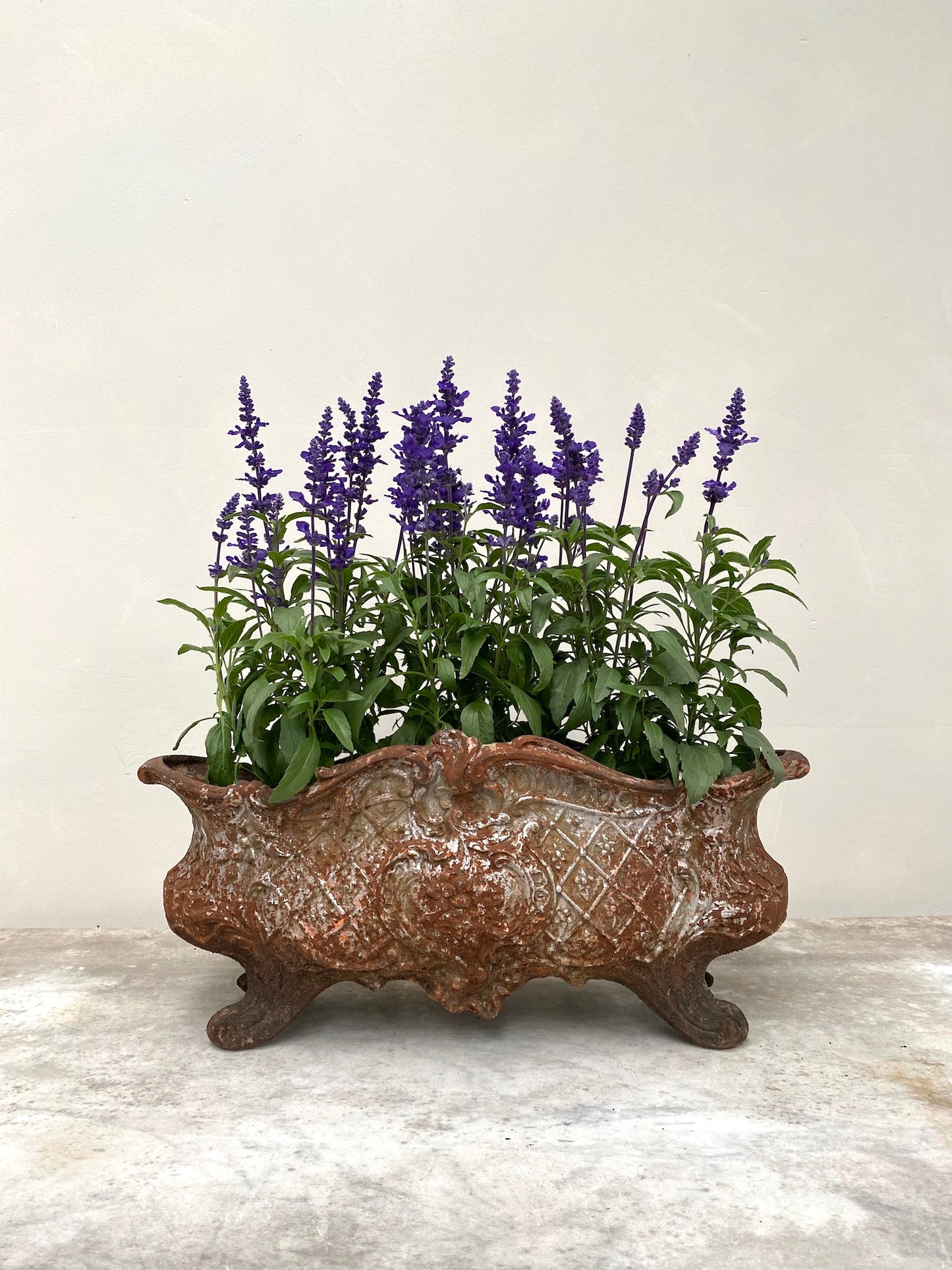 Antique French Medium Cast Iron Jardinere - Rusty Silver