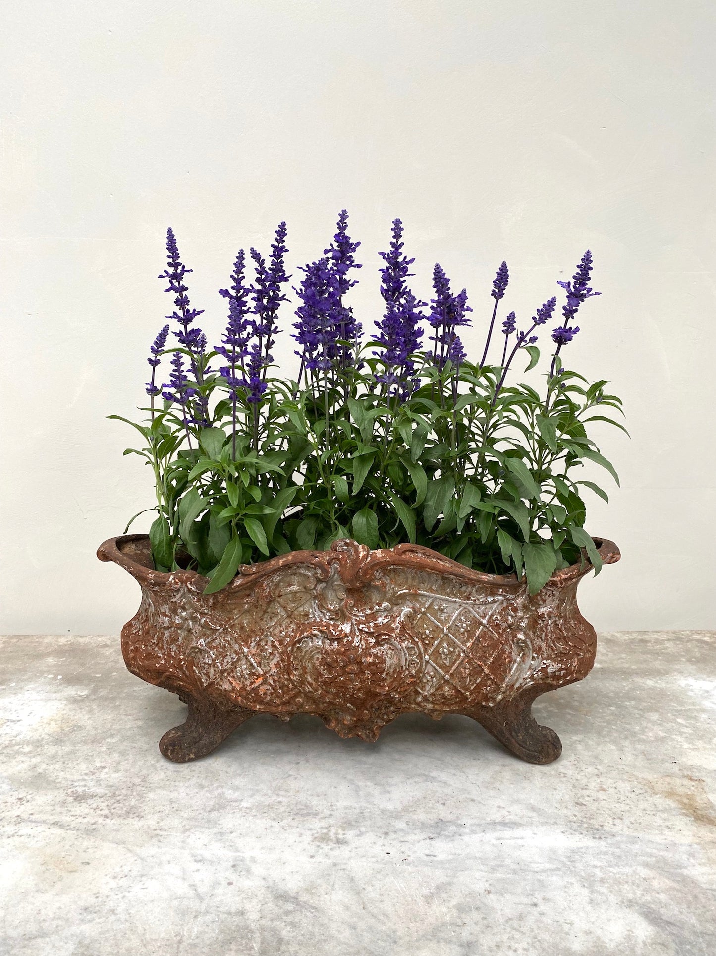 Antique French Medium Cast Iron Jardinere - Rusty Silver