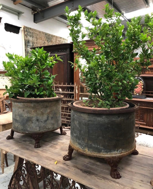 Pair of Vintage French Zinc Claw Foot Pots - III