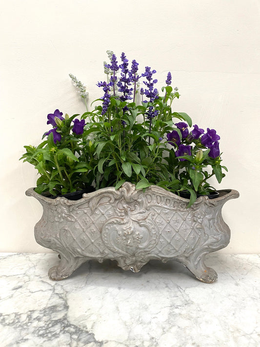Antique French Small Cast Iron Jardinere - Soft Silver Floral