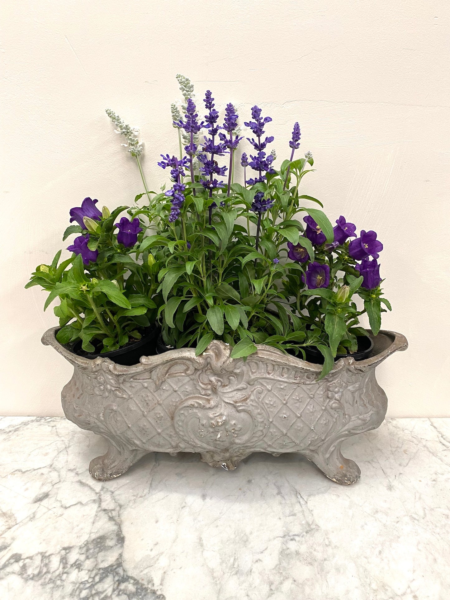 Antique French Small Cast Iron Jardinere - Soft Silver Floral