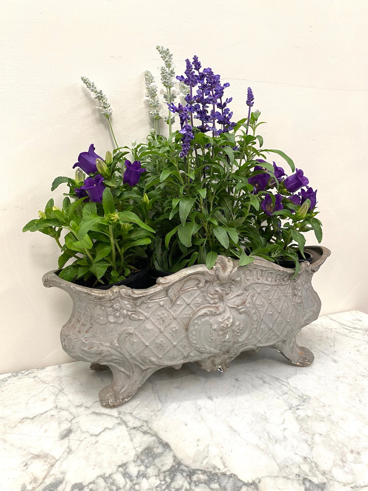 Antique French Small Cast Iron Jardinere - Soft Silver Floral