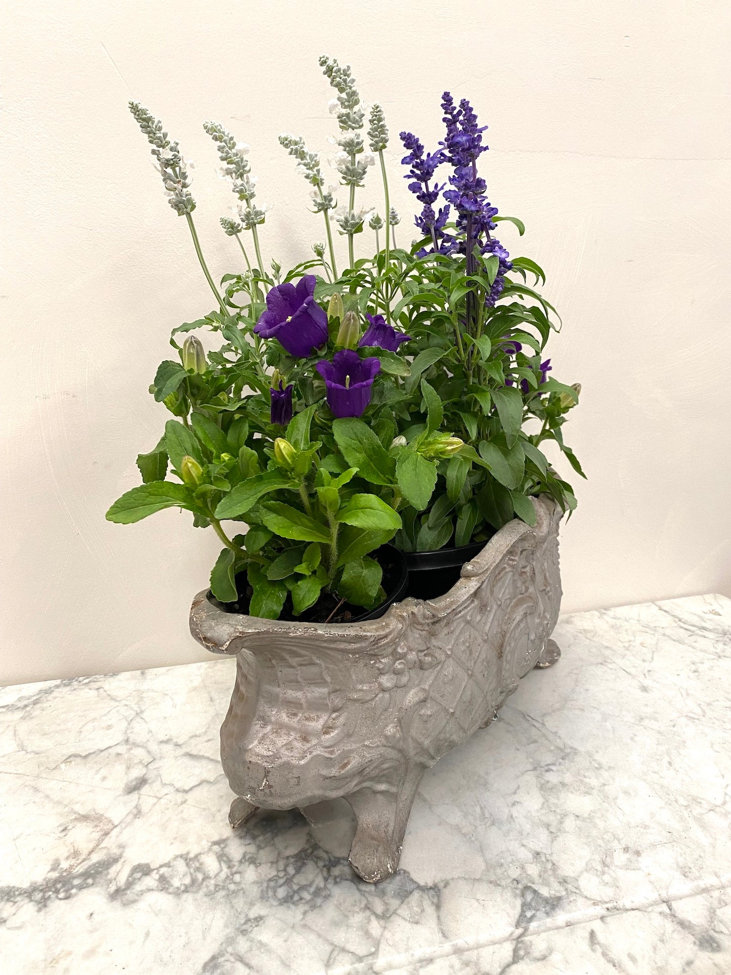 Antique French Small Cast Iron Jardinere - Soft Silver Floral