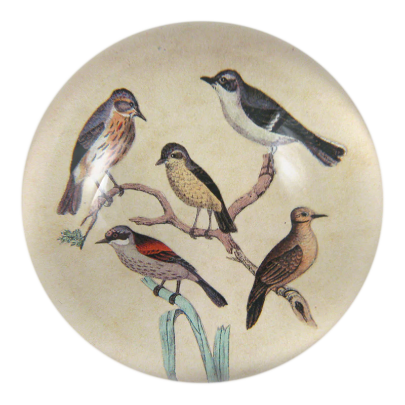 John Derian 'Feathered Friends' Paperweight