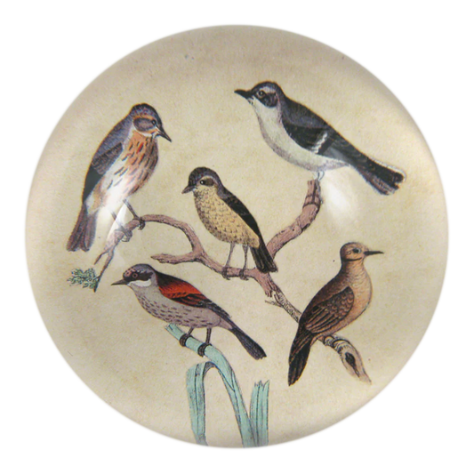 John Derian 'Feathered Friends' Paperweight
