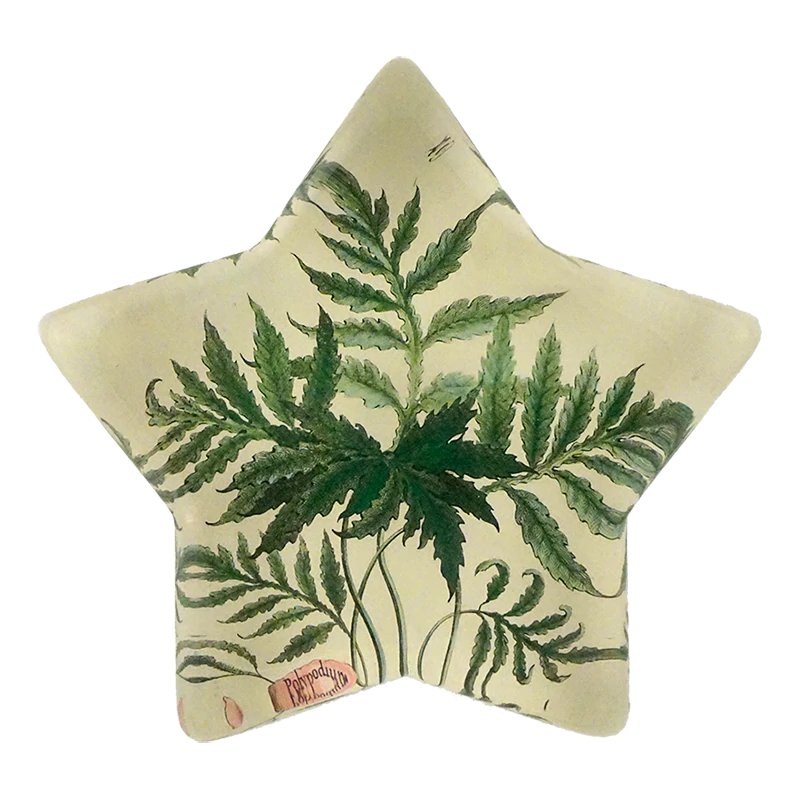 John Derian 'Leaf' Star Charm Paperweight