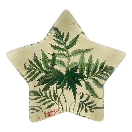 John Derian 'Leaf' Star Charm Paperweight
