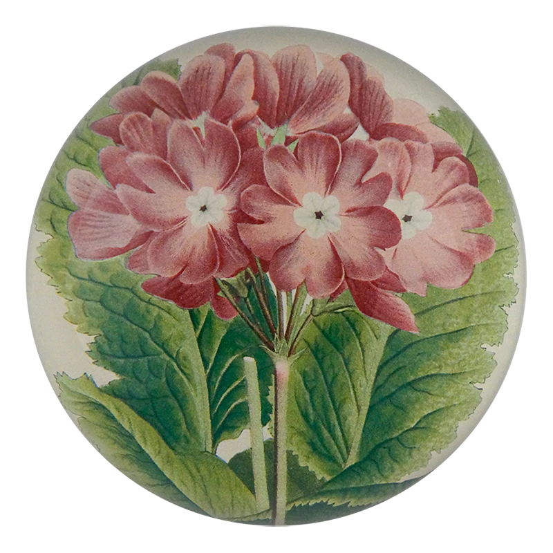 John Derian 'Light Purple Primula' Dome Paperweight