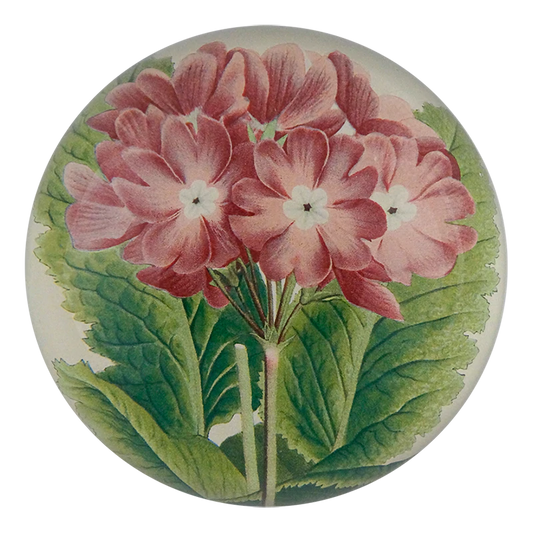 John Derian 'Light Purple Primula' Dome Paperweight