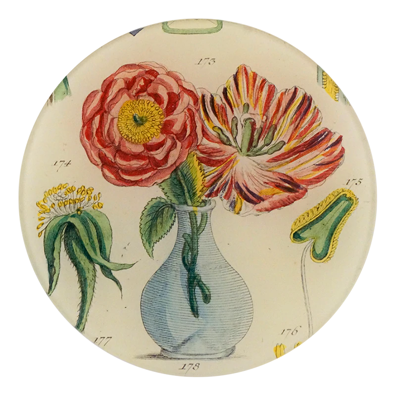 John Derian 'Loiq' 5 3/4" Round Plate