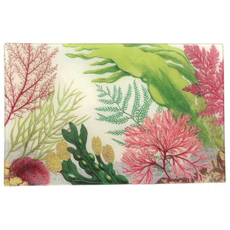 John Derian 'Sea Life' Rectangle Plate