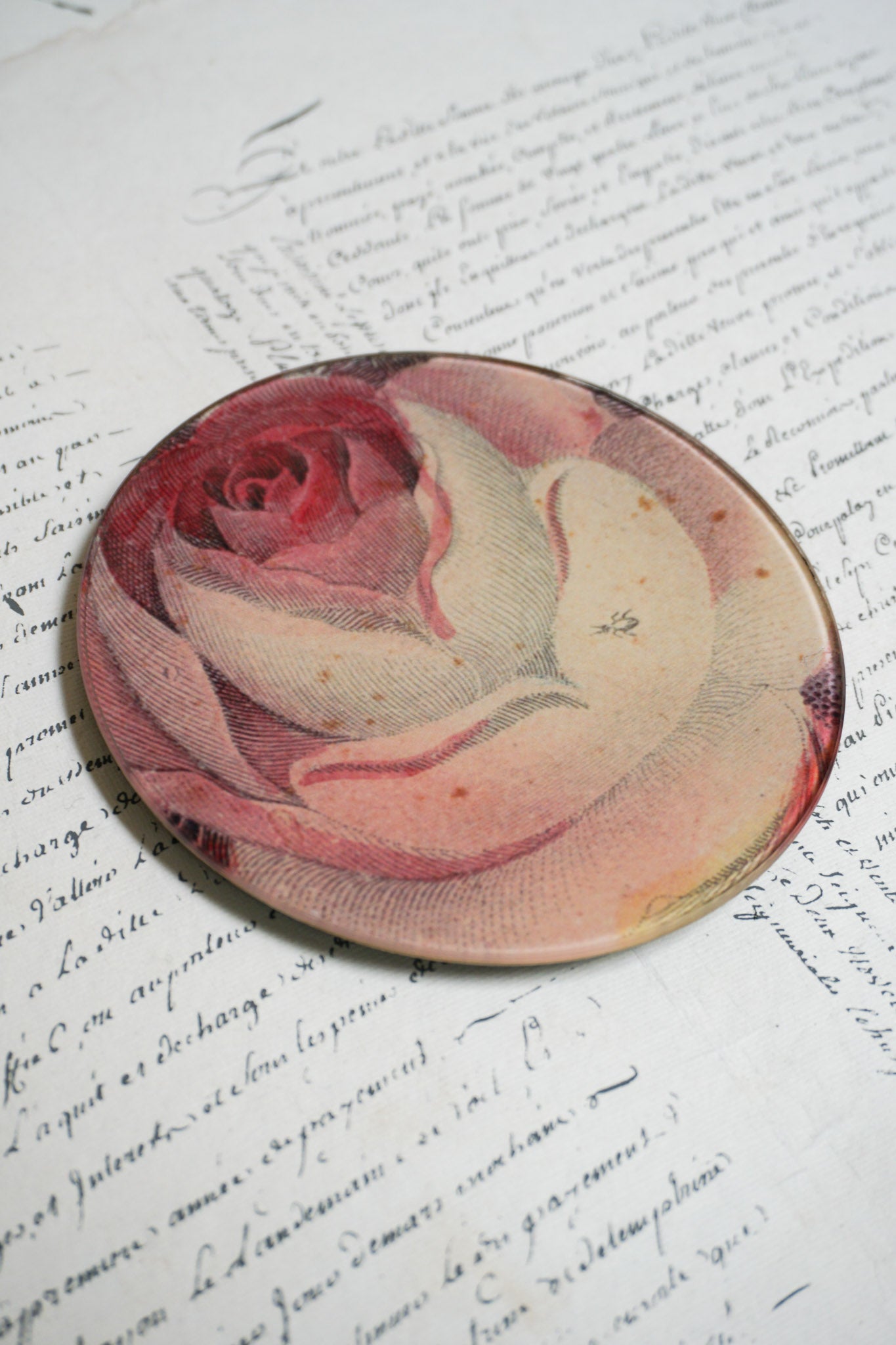 John Derian ‘Rose with Ant’ 5 3/4" Round Plate