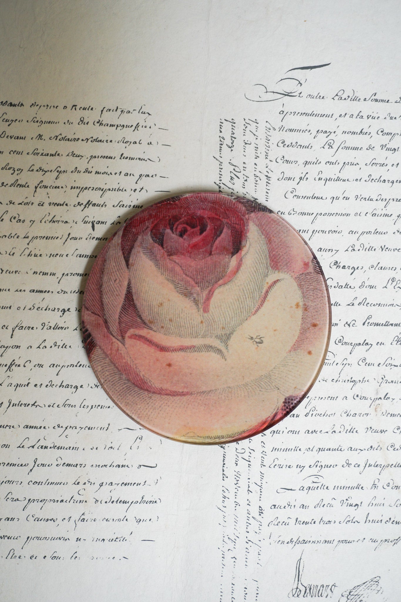 John Derian ‘Rose with Ant’ 5 3/4" Round Plate