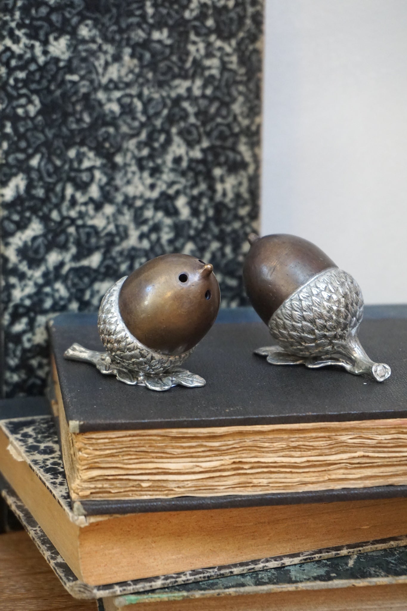 Pewter and Brass Acorn Salt and Pepper Shakers
