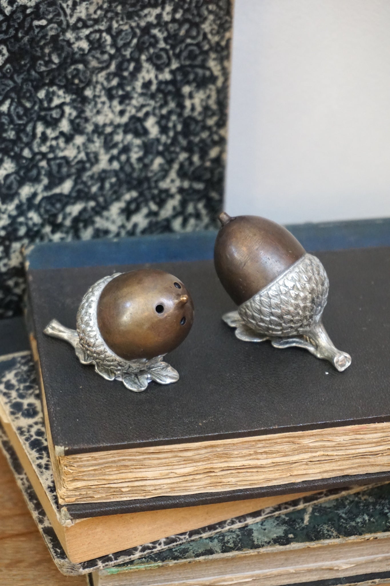 Pewter and Brass Acorn Salt and Pepper Shakers