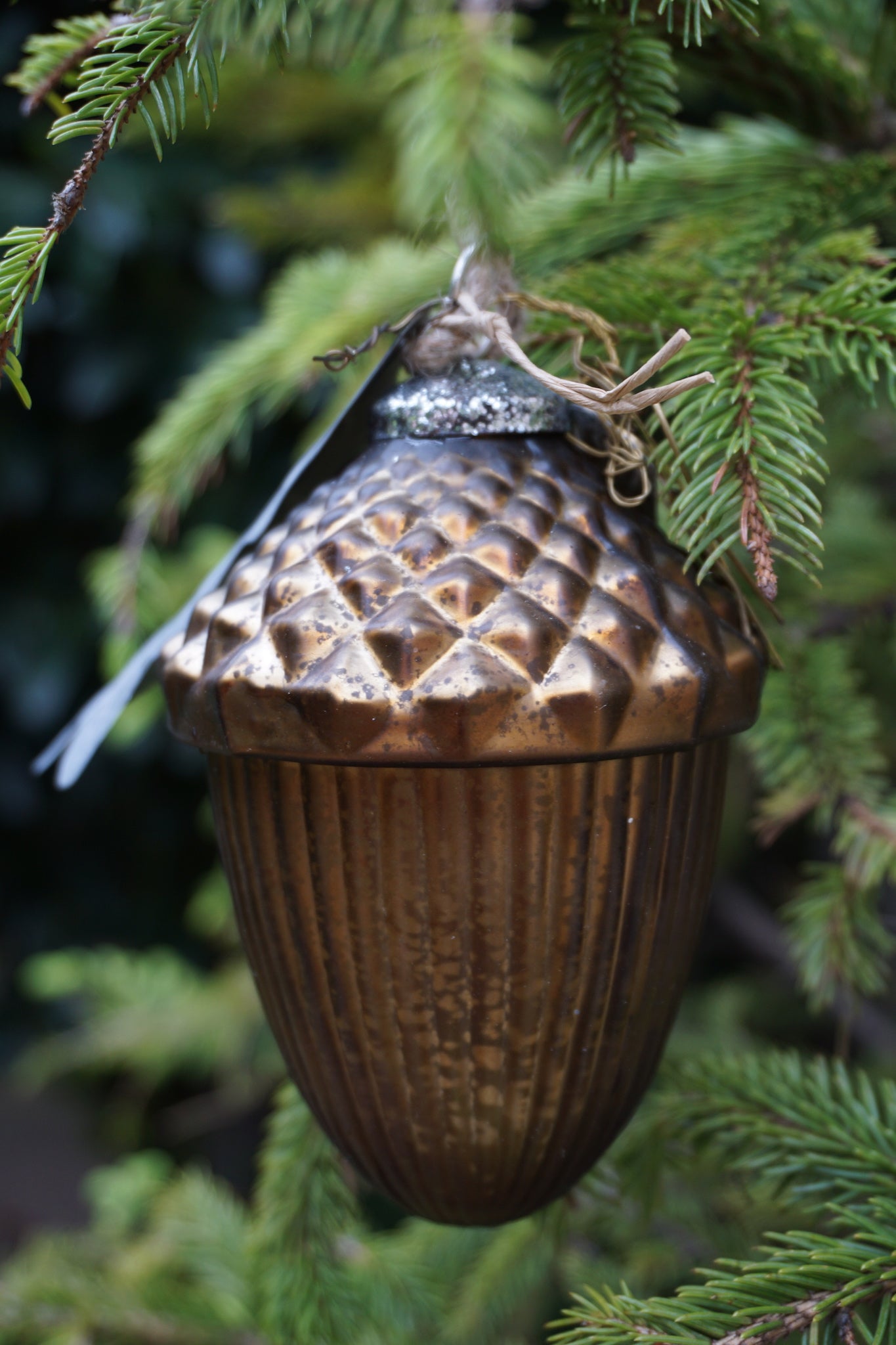 Walther & Co. Brown Glass Acorn