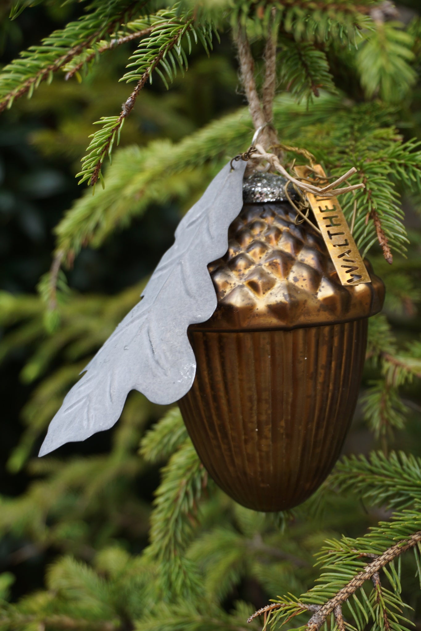 Walther & Co. Brown Glass Acorn