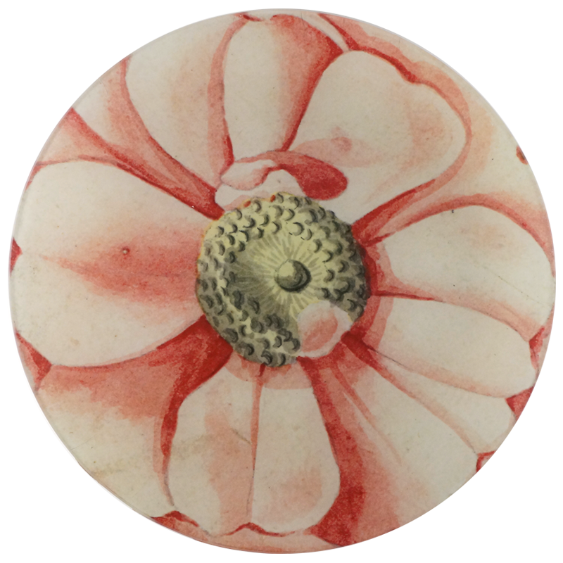 John Derian 'La Rose' Large Round Plate