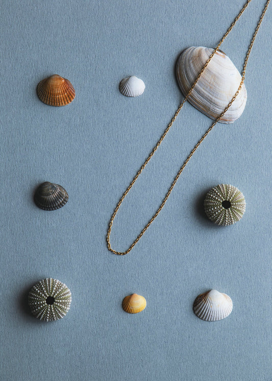 Alix d. Reynis Taliah Necklace Chain - Gold