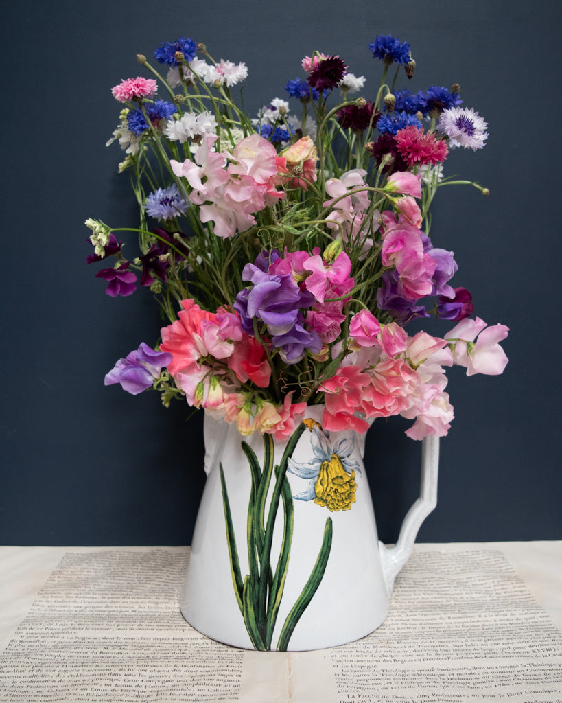 Astier de Villatte John Derian Daffodil Vase