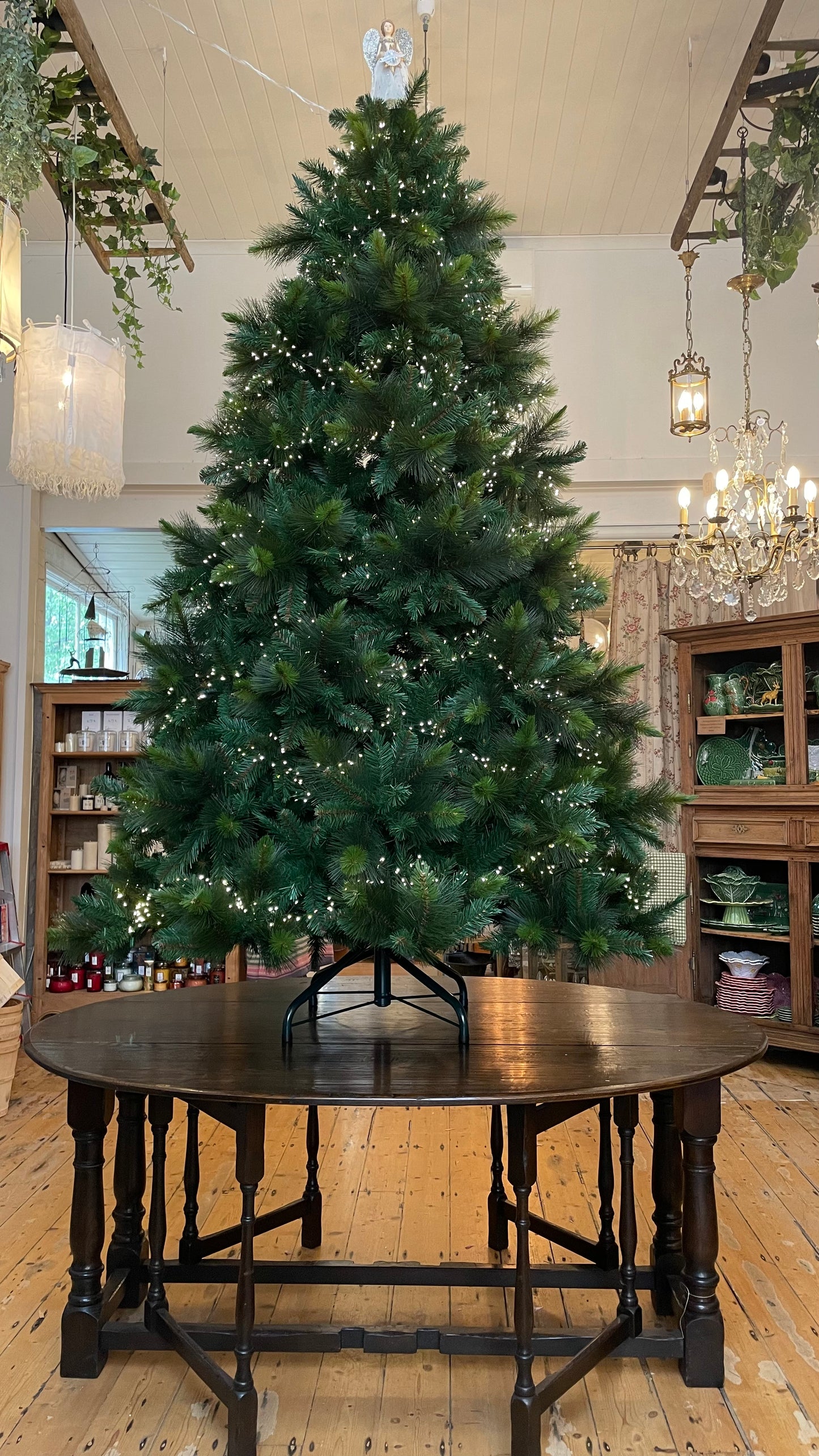 Cambridge Spruce Christmas Tree - PRE-ORDER
