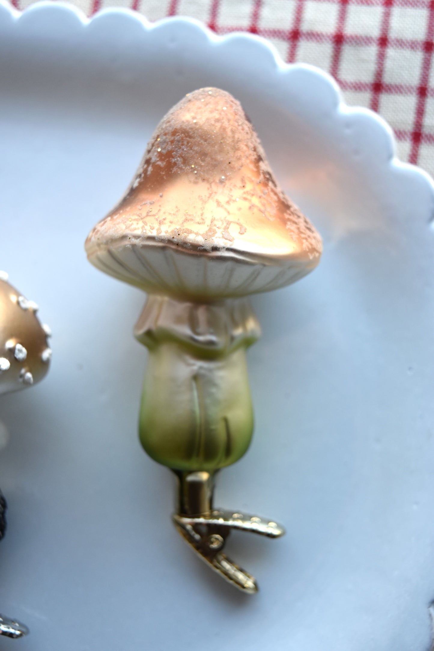 German Glass Christmas Ornament Set - Brown Mushrooms Pair