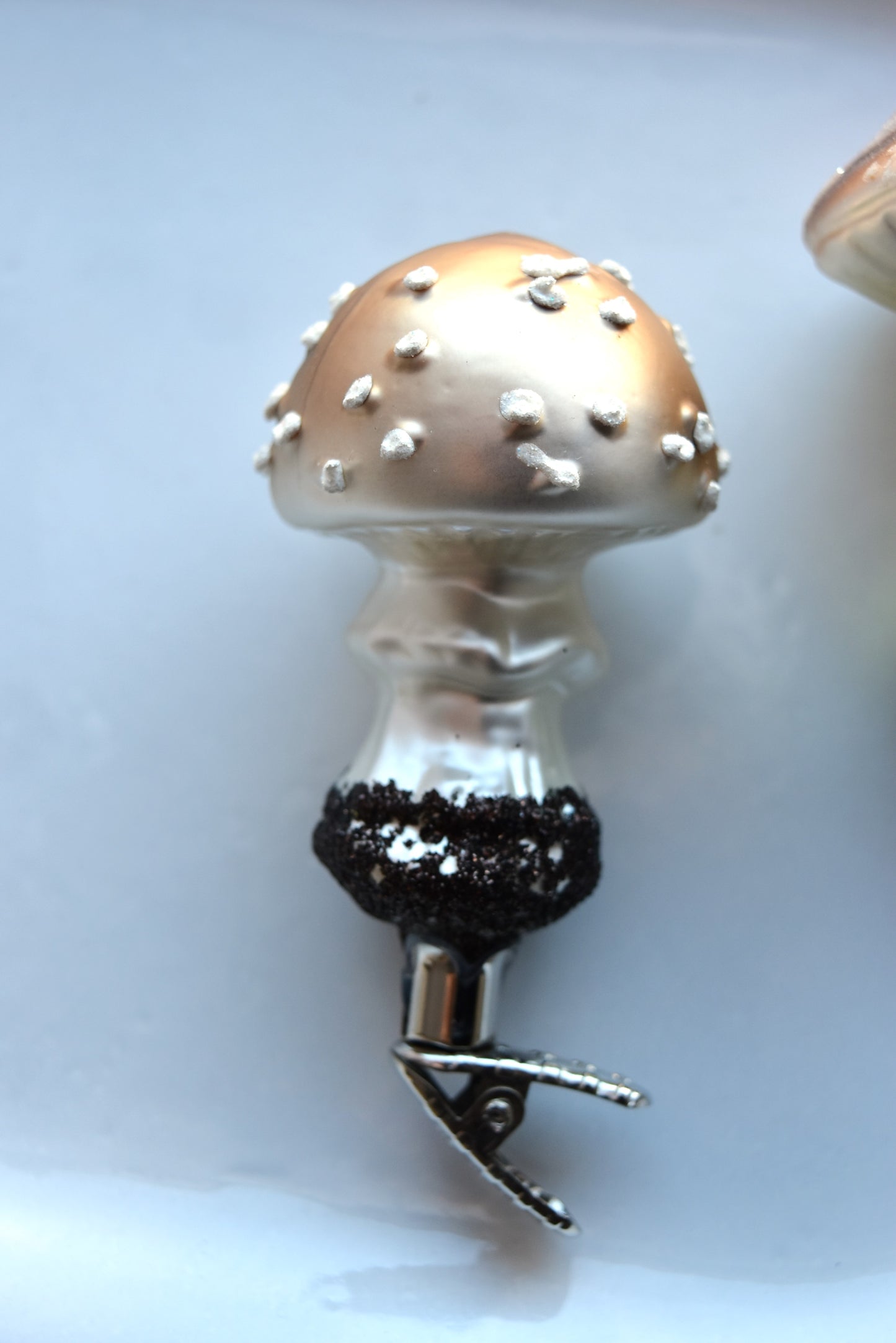 German Glass Christmas Ornament Set - Brown Mushrooms Pair