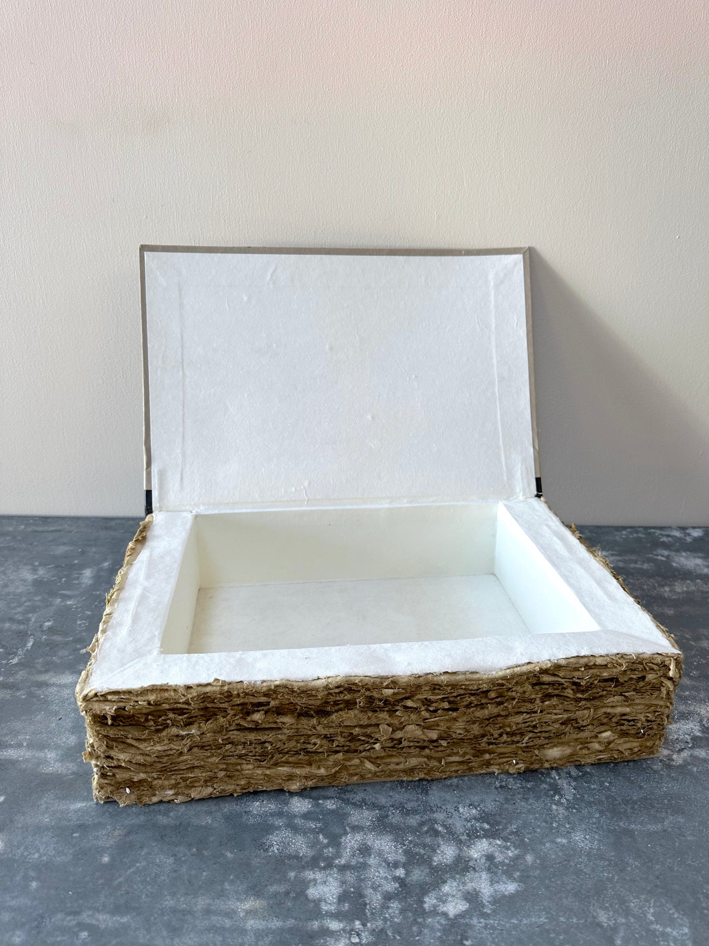 French Faux Book Storage Boxes