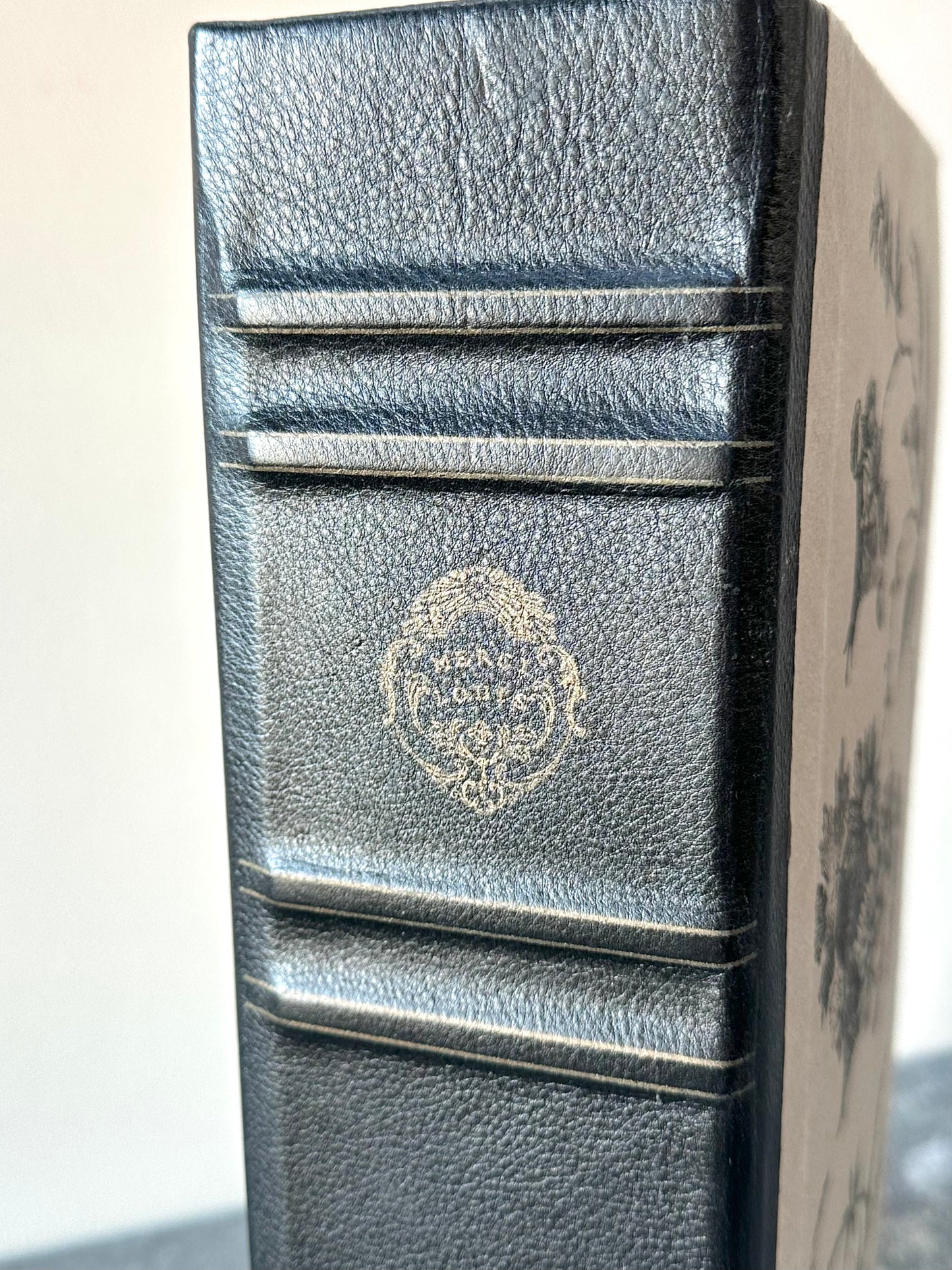 French Faux Book Storage Boxes