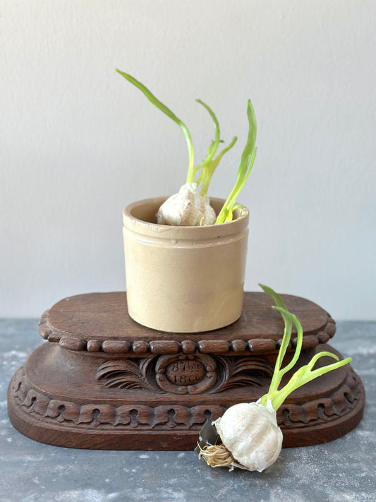 Antique French Petite Ceramic Jar