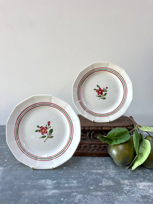 Antique French Sarreguemines 'Armelle' Floral Pair Of Plates