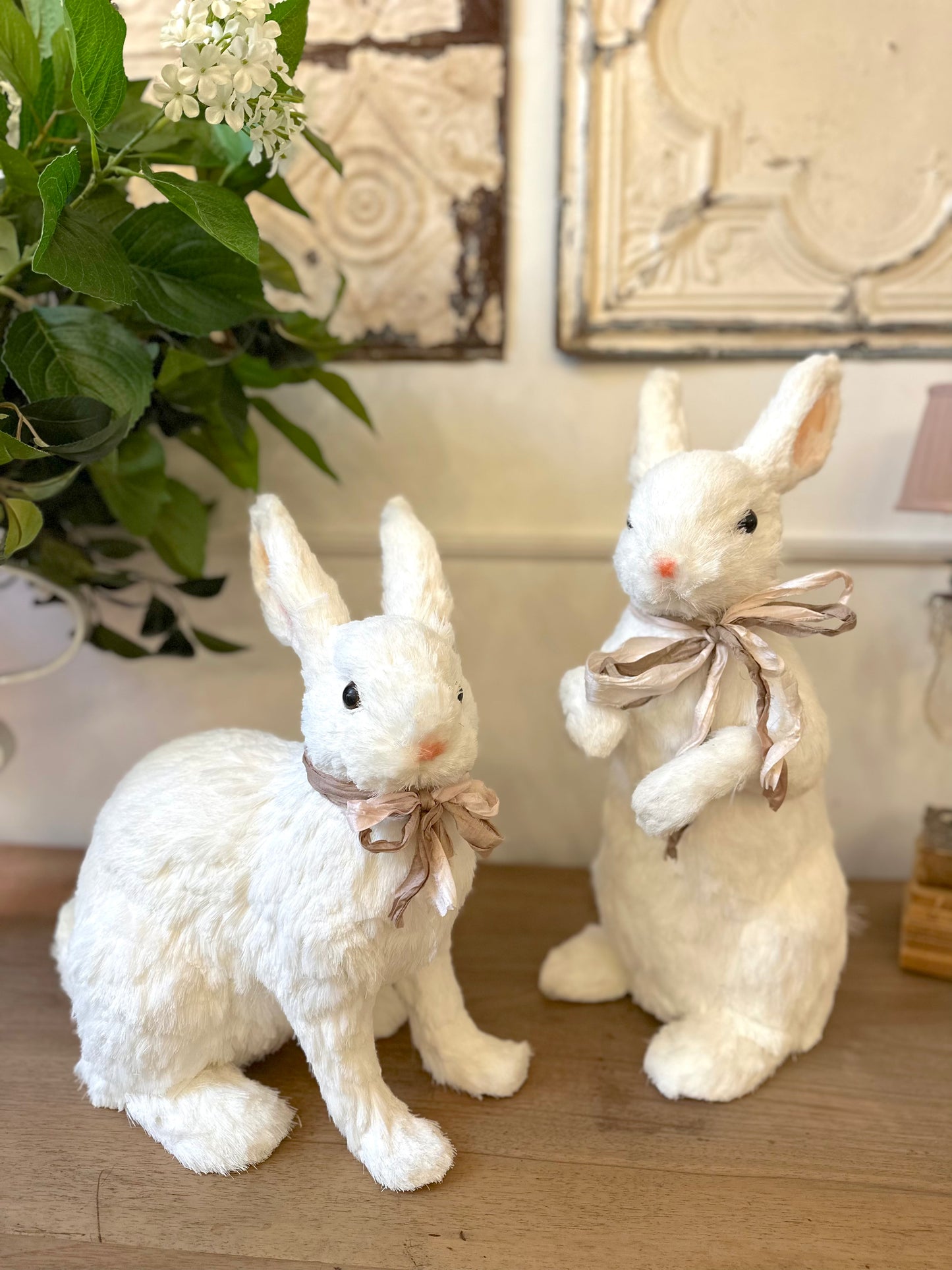 Pair of Large White Bunny Rabbits