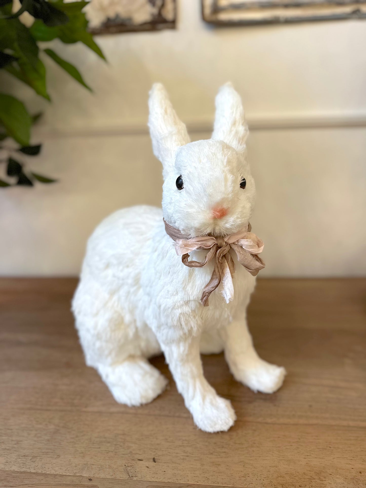 Pair of Large White Bunny Rabbits
