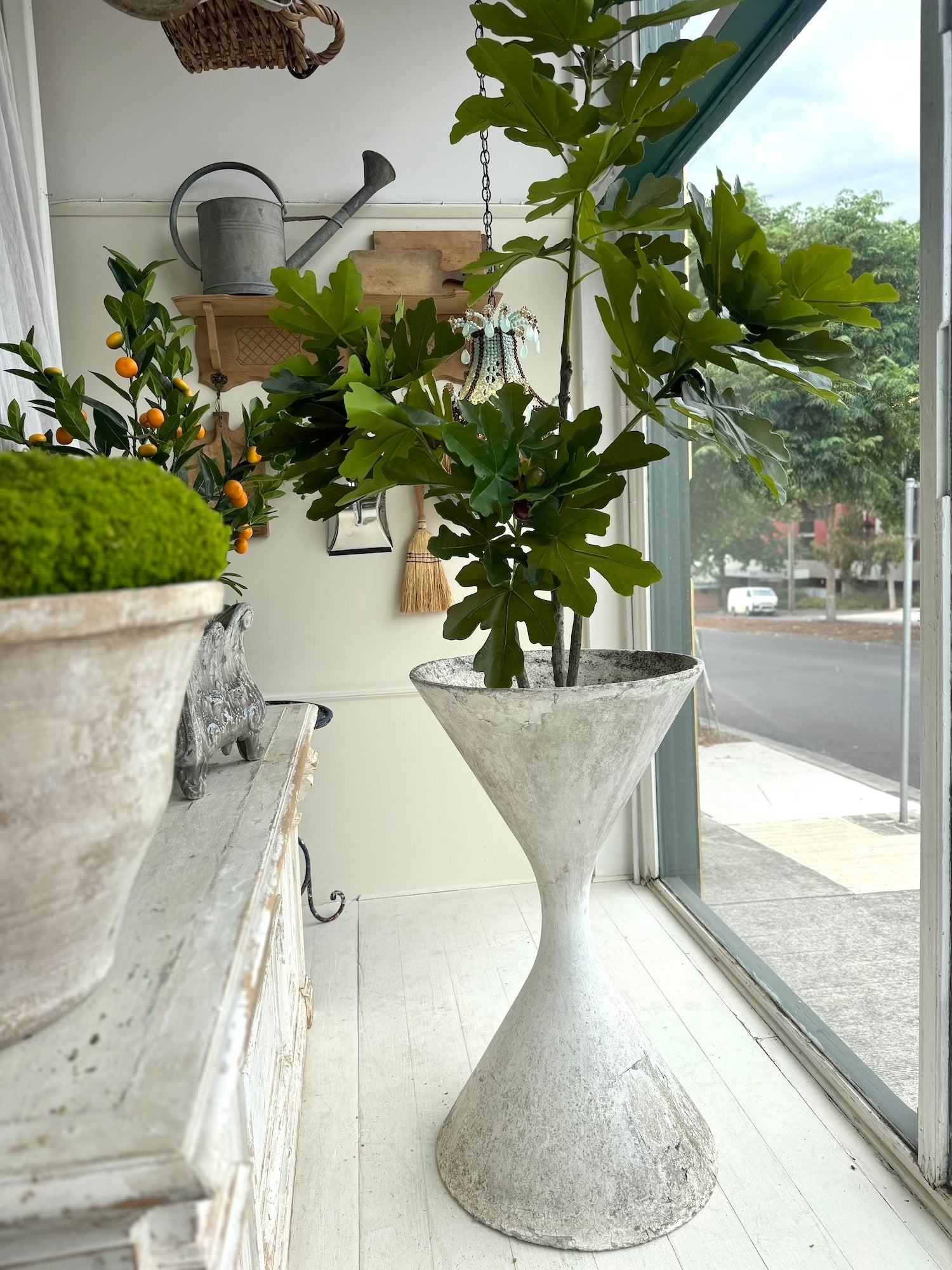Vintage Willy Guhl Diablo Hourglass Planter – Lily Pond