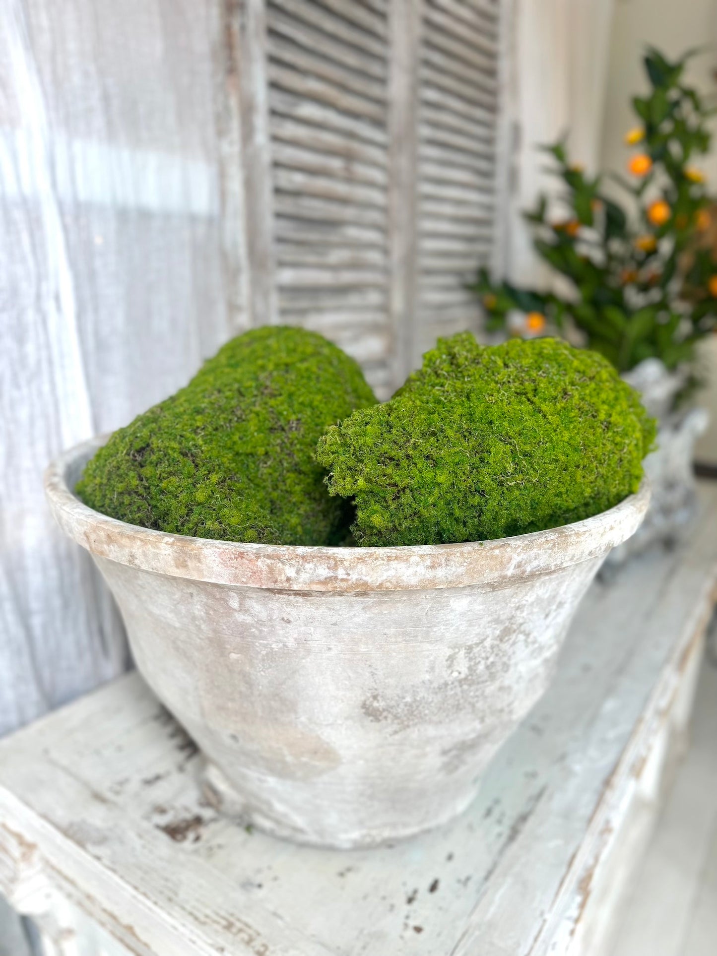 Vintage Spanish Terracotta Olive Pot