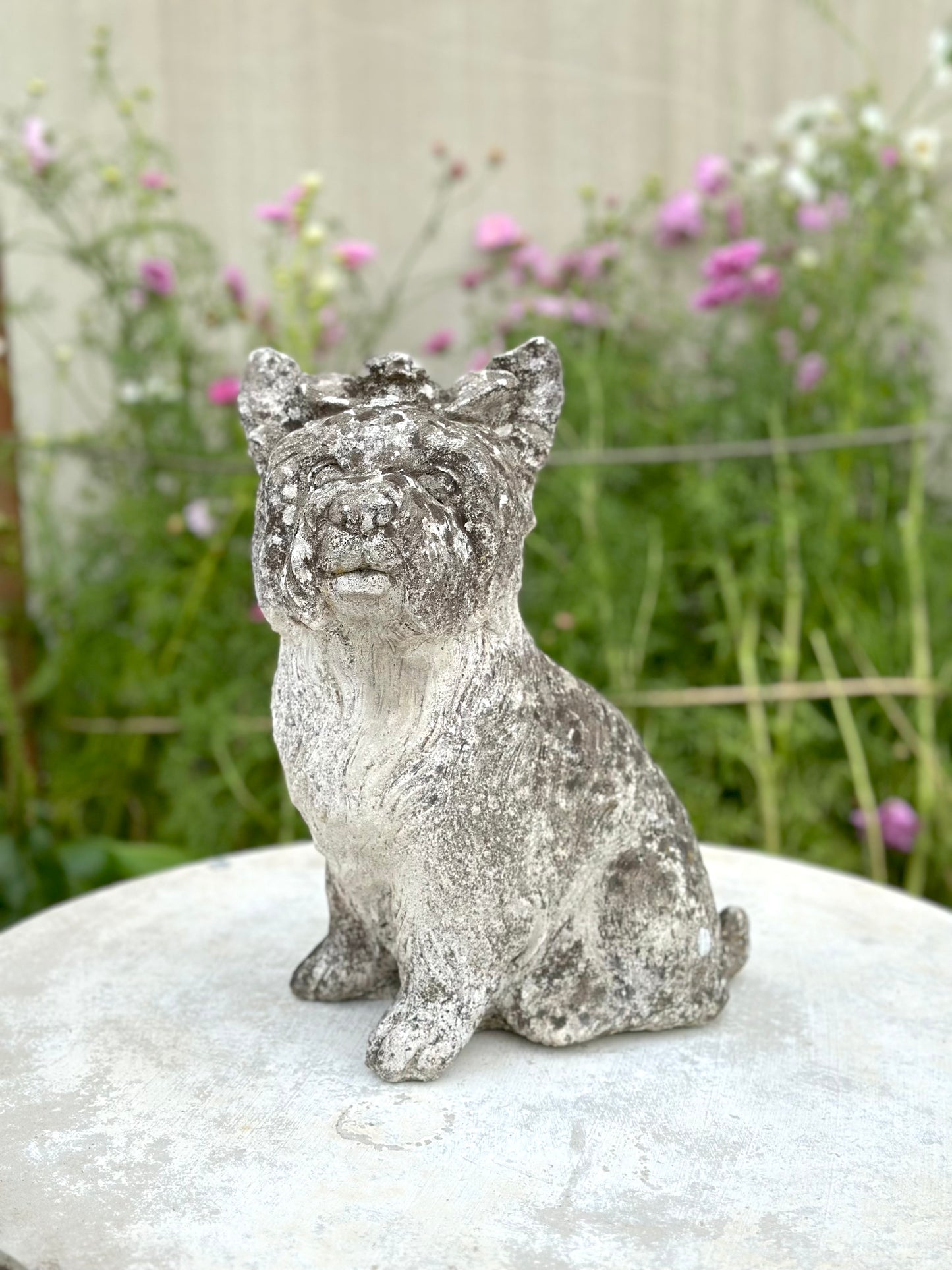 Antique Concrete Dog Statues