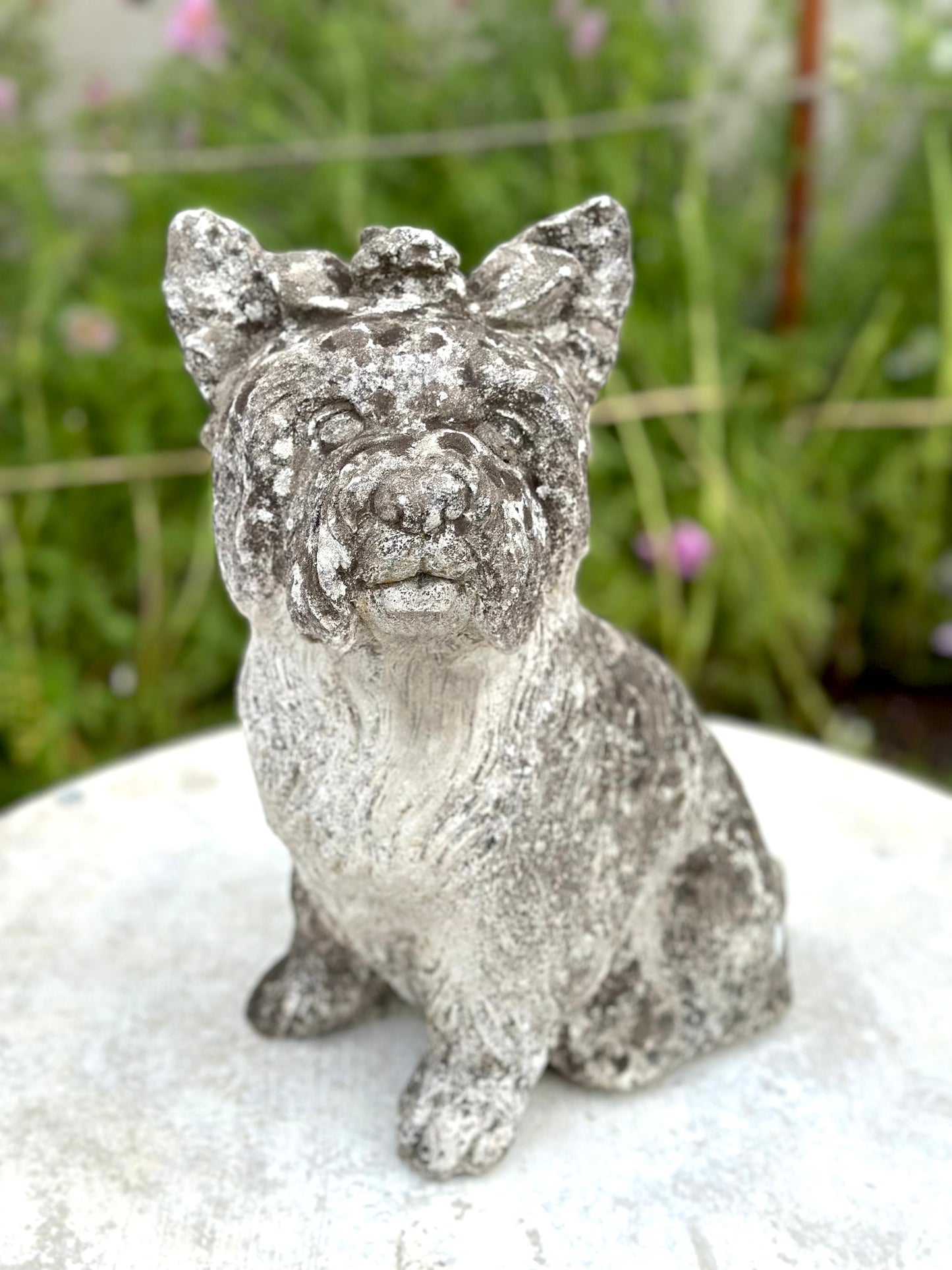 Antique Concrete Dog Statues