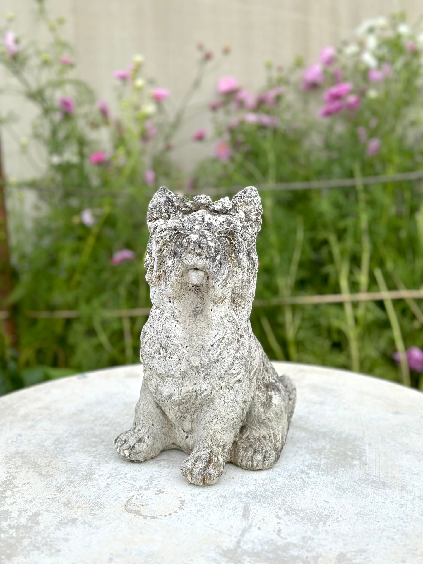 Antique Concrete Dog Statues