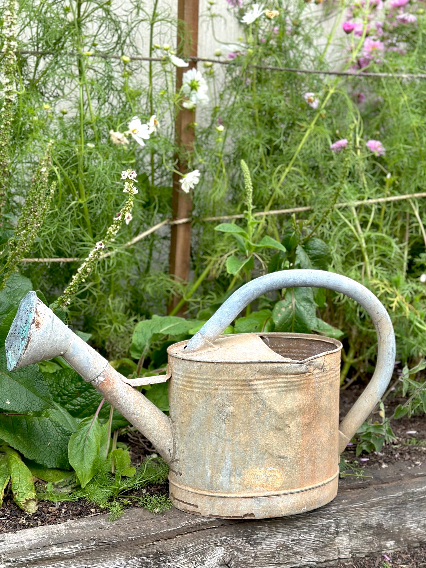 Antique French Oval Base Watering Can