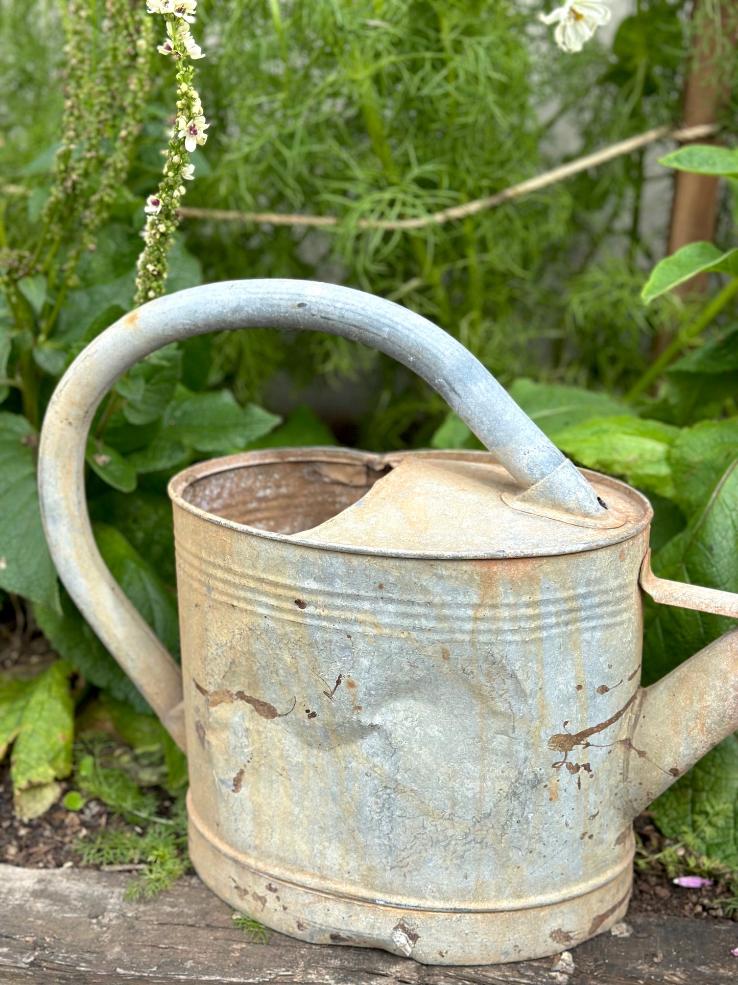 Antique French Oval Base Watering Can