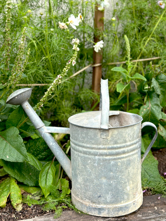 Antique French Round Base Watering Can - Large